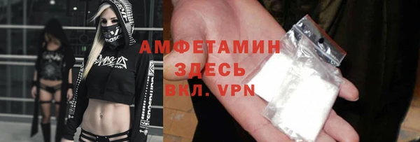 сатива Баксан