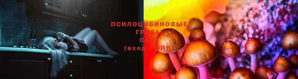 ГАЛЛЮЦИНОГЕННЫЕ ГРИБЫ Белокуриха