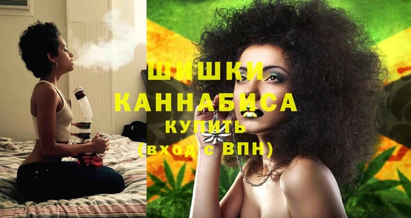 сатива Баксан