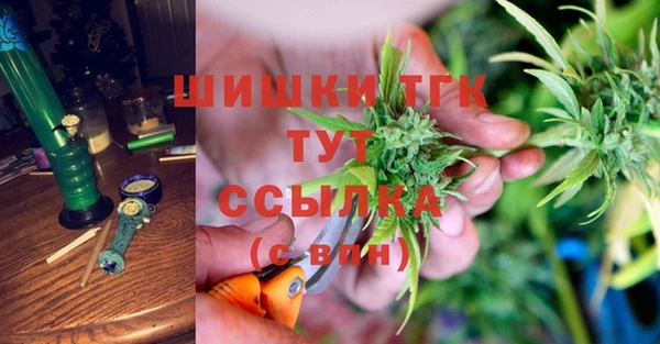 ГАЛЛЮЦИНОГЕННЫЕ ГРИБЫ Белокуриха