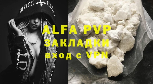 ГАЛЛЮЦИНОГЕННЫЕ ГРИБЫ Белокуриха